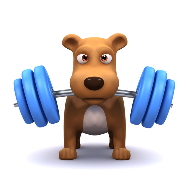 Illustration courtesy of Shutterstock