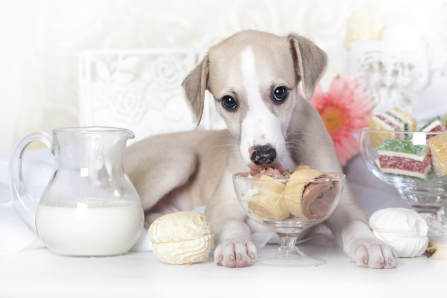 Photo courtesy of Shutterstock