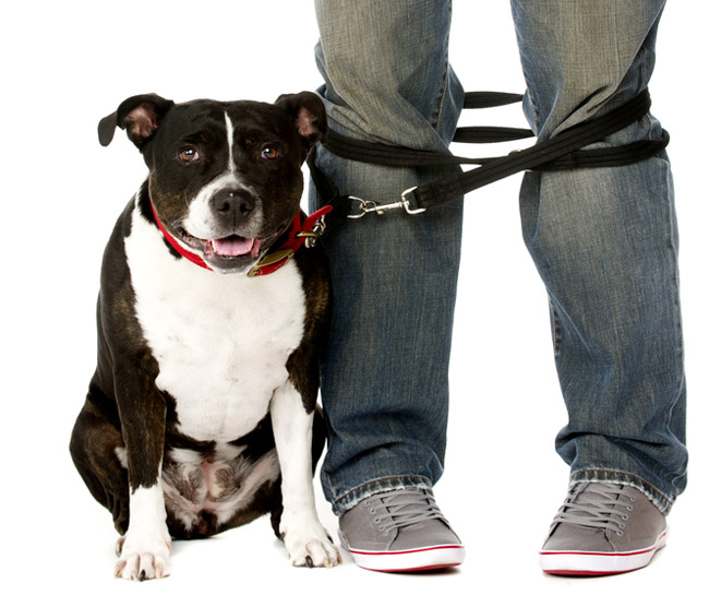 Photo courtesy of Shutterstock