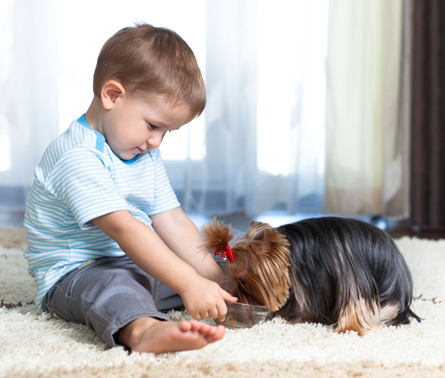 Photo courtesy of Shutterstock
