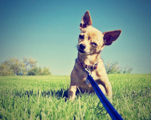 Photo courtesy of Shutterstock