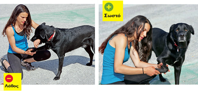 zitoumeno3