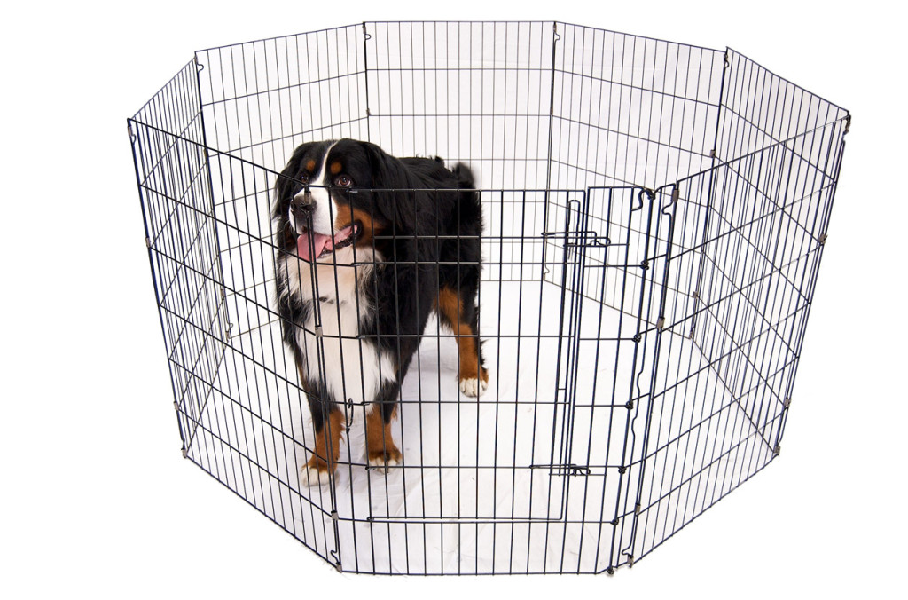 shutterstock_35797201 www