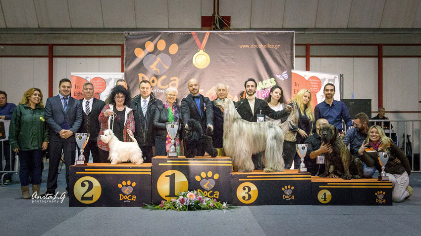 Photo courtesy of Anita Lopes Graca