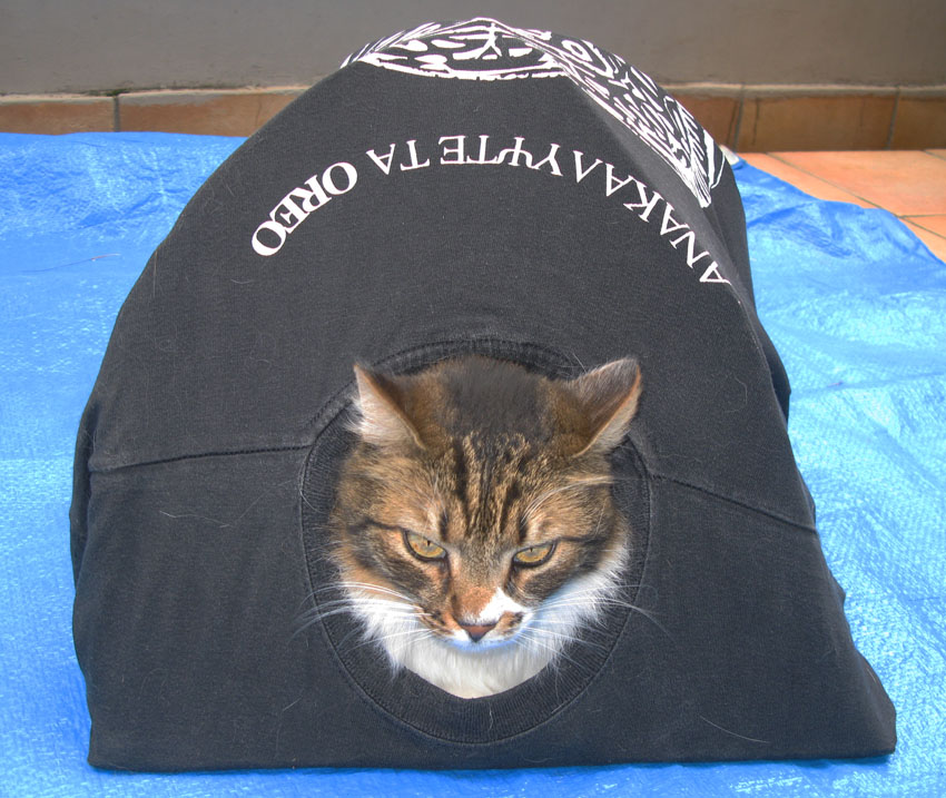 σπίτι μπλουζάκι μπλούζα γατόσπιτο Γάτα DIY 