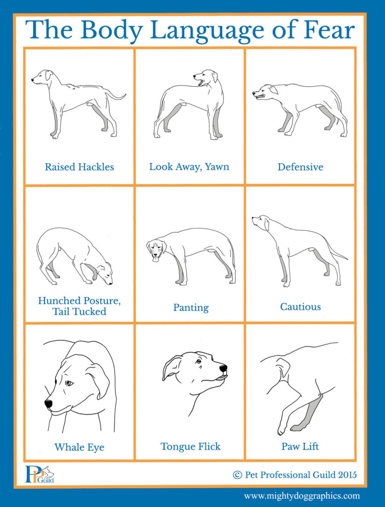 Σκύλος γλώσσα σώματος 