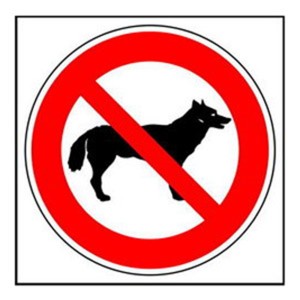 nodogs