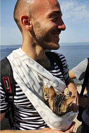 syrian with kitten