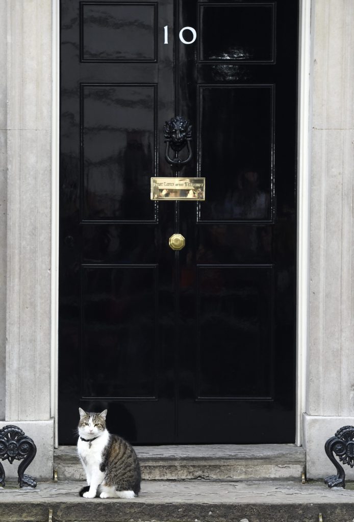 Ο Λάρι στέκεται έξω από το νούμερο 10 της Downing Street. Να μείνω ή να φύγω, αναρωτιέται.. EPA/FACUNDO ARRIZABALAGA